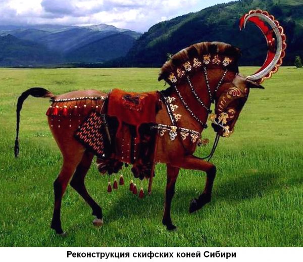 Белые страницы истории Сибири (часть-5)